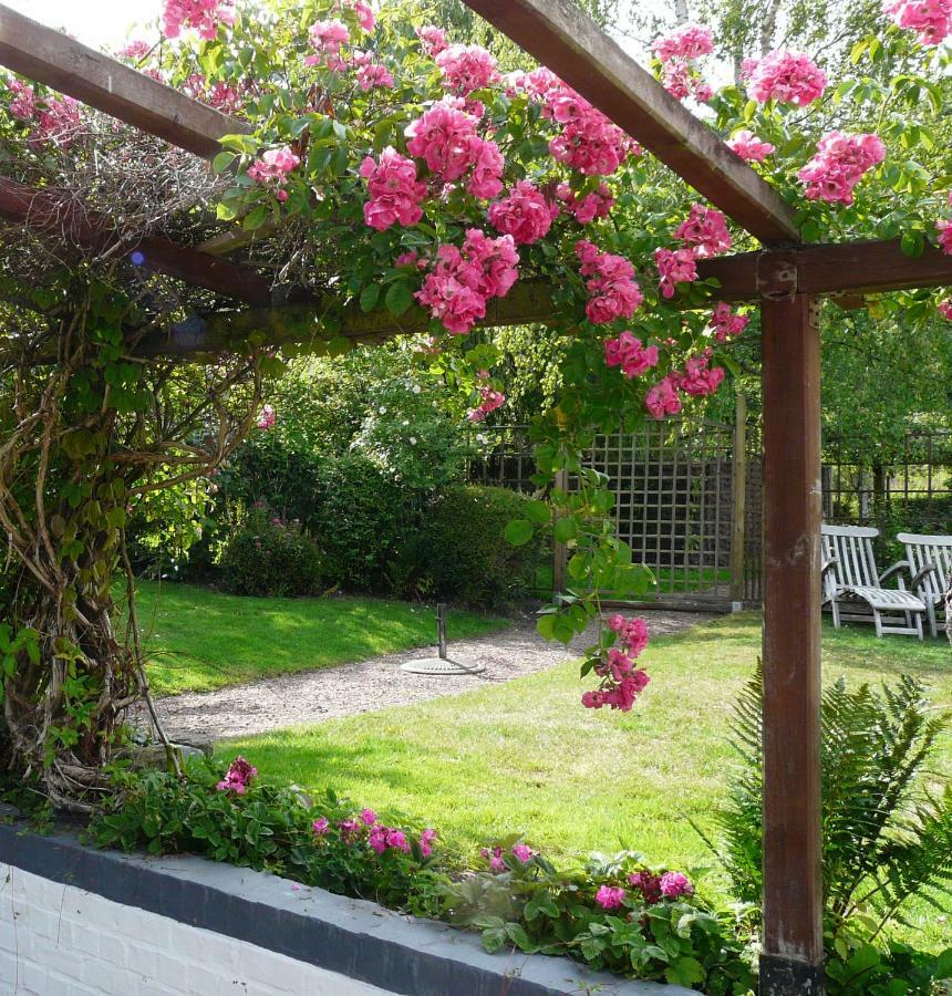 La Quitapenas Villa รอนเซ ภายนอก รูปภาพ