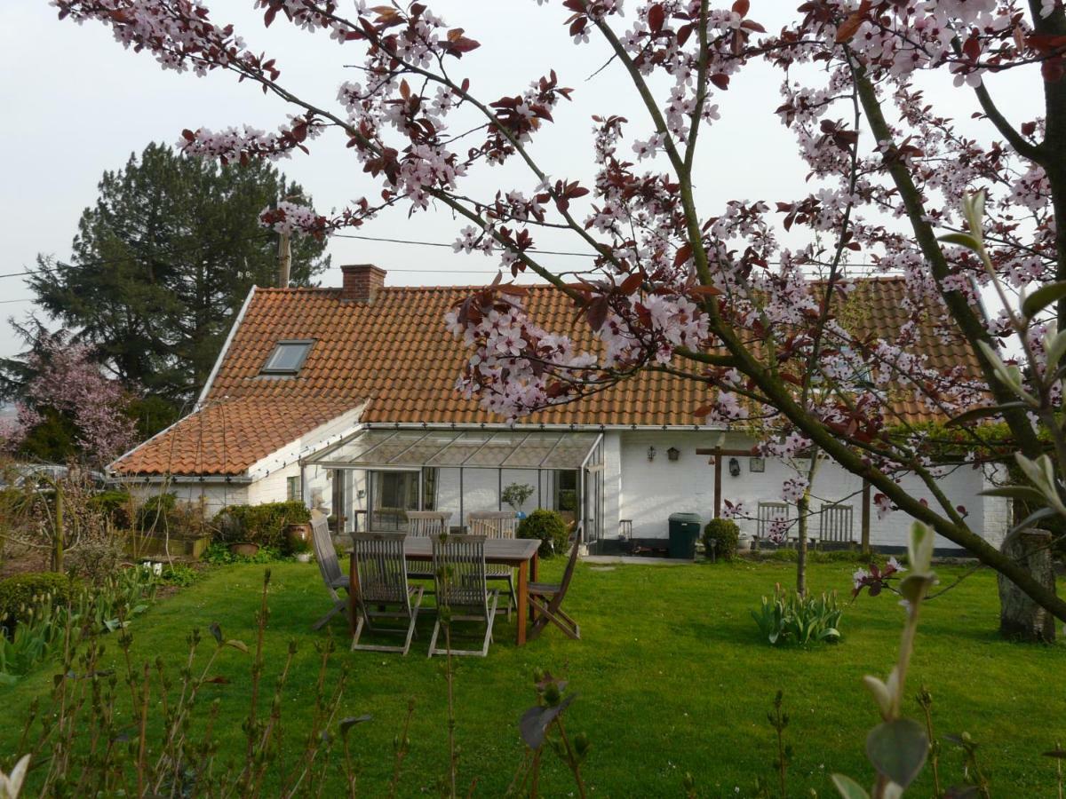 La Quitapenas Villa รอนเซ ภายนอก รูปภาพ